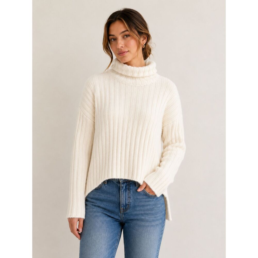 Everlane XS Wool Cashmere Ribbed Turtleneck Sweater Cream High Low Hem